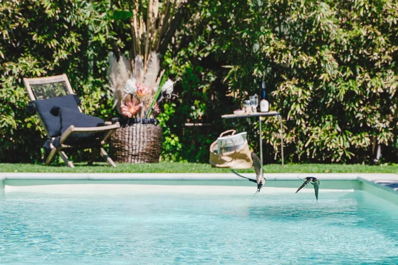 Duchess Boutique De Charme Bed and Breakfast Firenze